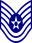 insignia de la fuerza aérea e 6
