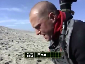 danny fox capullos clase 234