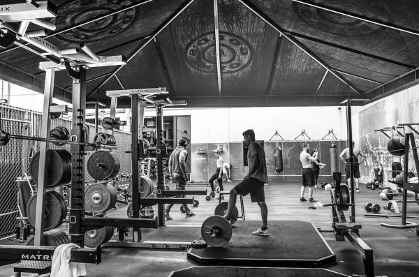 descuento de gimnasio de oro