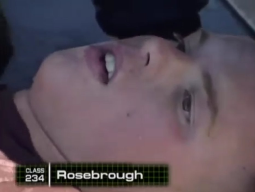 rosebrough - capullos clase 234
