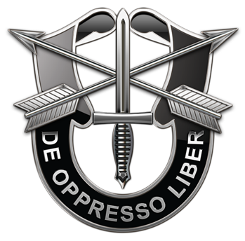 insignia de boina verde