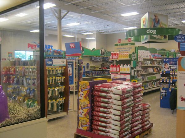 interior mascota inteligente