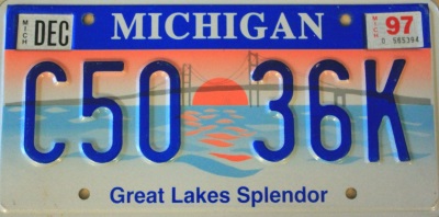 muestra de placa de michigan