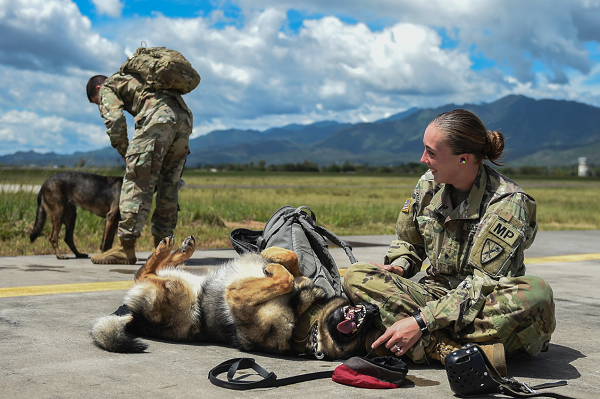 adiestrador de perros de trabajo militar del ejército