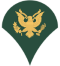 ejército e 4 insignia - especialista