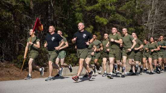 seda del cuerpo de marines
