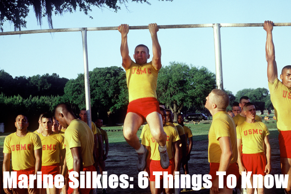 Silkies marinas