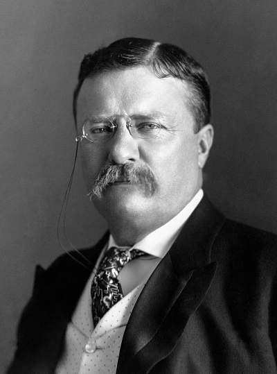 el presidente teddy roosevelt sirvió en el ejército de estados unidos