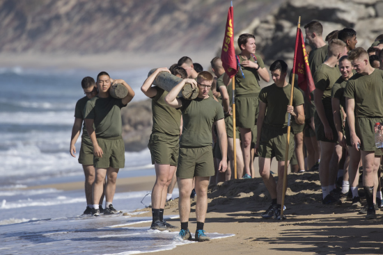 sedosos usmc