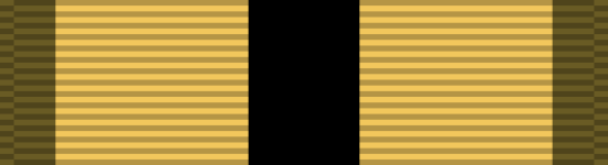 Medalla militar de instructor de combate del Cuerpo de Marines
