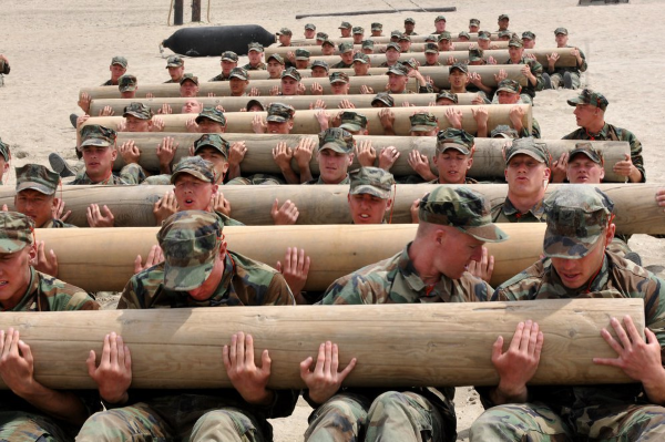entrenamiento de brotes