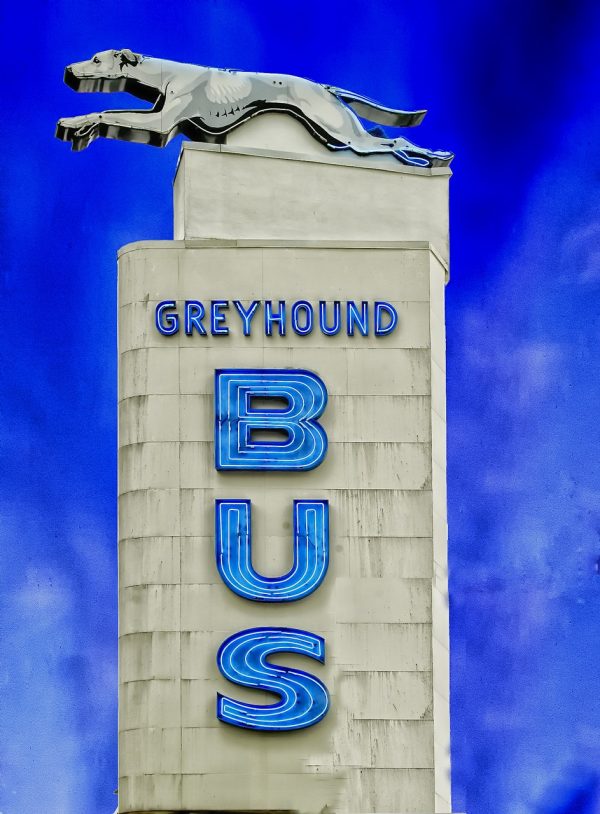 galgo-bus-394728_1280