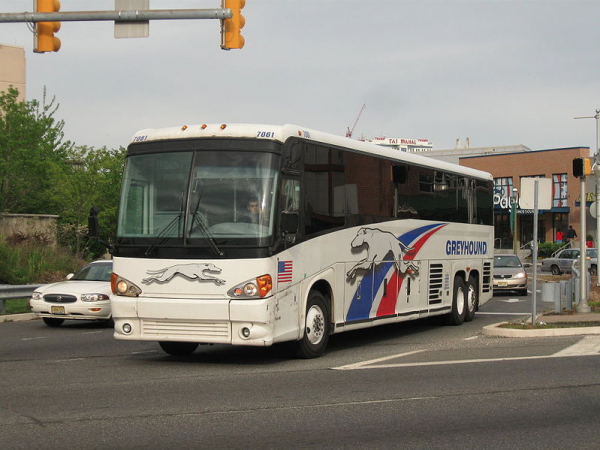autobús galgo